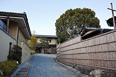 《贪婪之秋2：垂死世界》推迟大型内容更新至秋季后